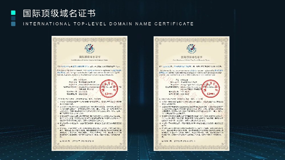 乐巢酒店盒子官网域名证书